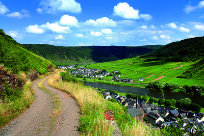 Entlang der Mosel und über die Weinberge muss man sattelfest aber auch standhaft sein. Foto: «Radweg-Reisen»